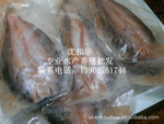 干鲜银鱼、黄鱼公司_人气供应商_公司黄页 